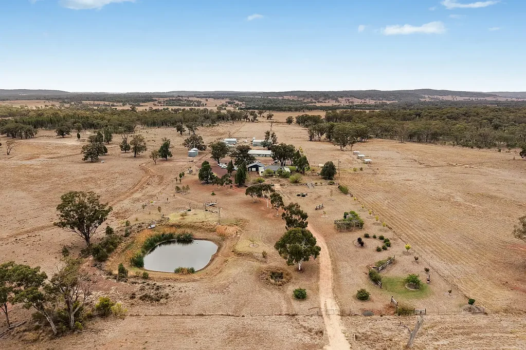 Dunedoo  'Thirlestane'  - Substantial Acreage, Serious Infrastructure, Endless Potential