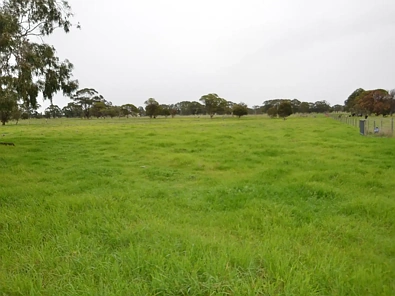 Benger Rural Outlook