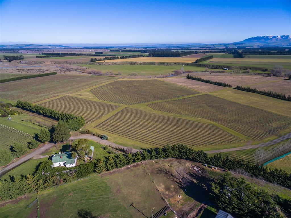 167 Mackenzies Road, Waipara, Hurunui, 2 Bedrooms, 1 Bathrooms