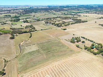 235 Basham Road, Stanley Flat, SA 5453, 0 Bedrooms, 0 Bathrooms, Lifestyle Property
