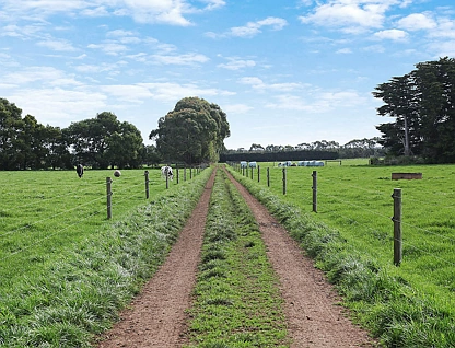 570 Swan Marsh Road, Swan Marsh, Geelong, 3 Bedrooms, 1 Bathrooms, Lifestyle Property