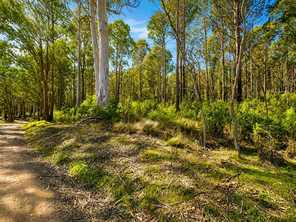 St Marys Your Private Slice of the Tasmanian Wilderness Awaits!