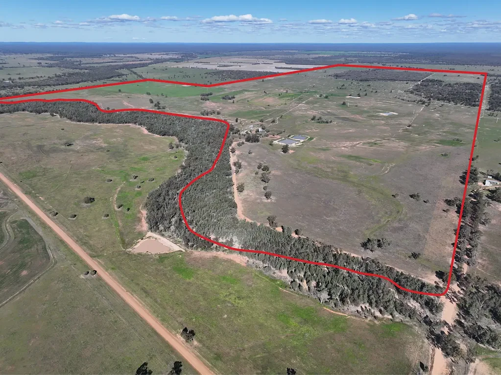 1035 Stumpy Lane, Wee Waa, NSW 2388