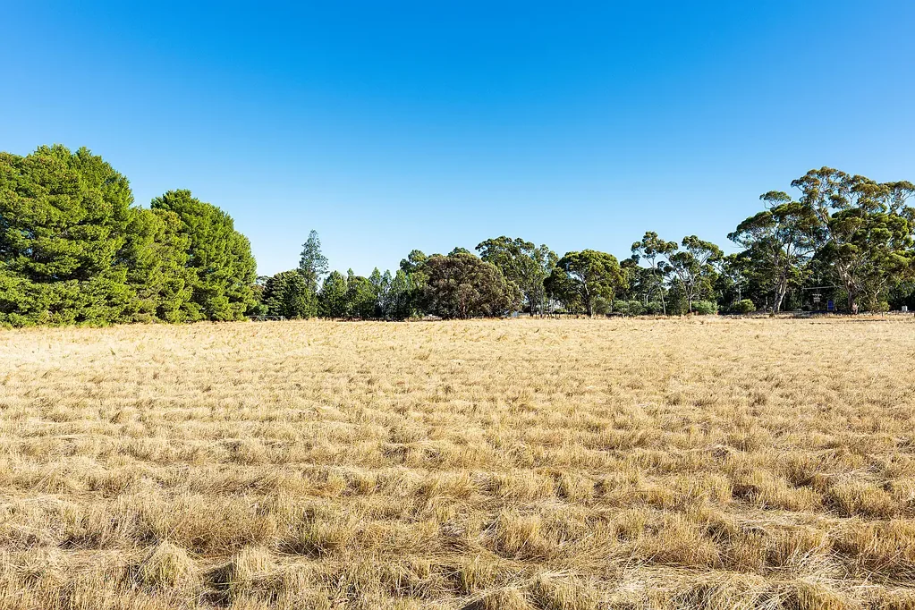 Dimboola Build Your Dream Home!