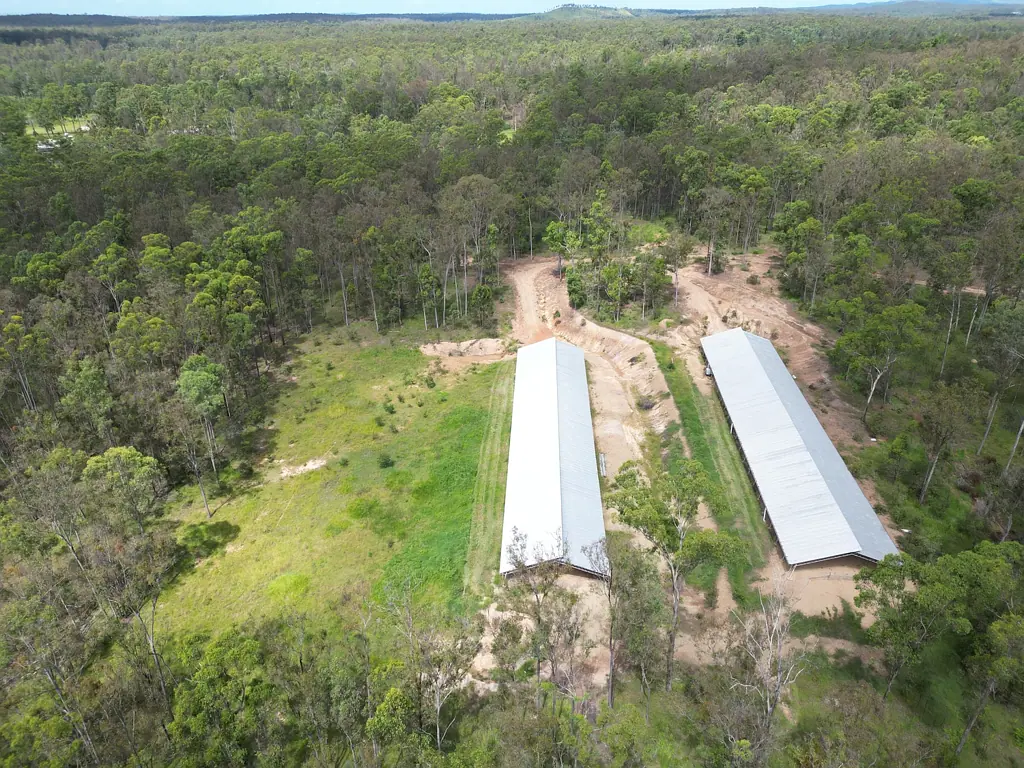 Glenwood Two Large Sheds On 159 Acres With Improved Pasture