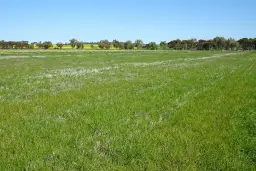 LOT 5980 Brookton Kweda Road, Aldersyde