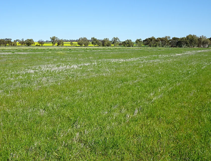 LOT 5980 Brookton Kweda Road, Aldersyde, Wheat Belt, 0 chambres, 0 salles de bain, Lifestyle Property