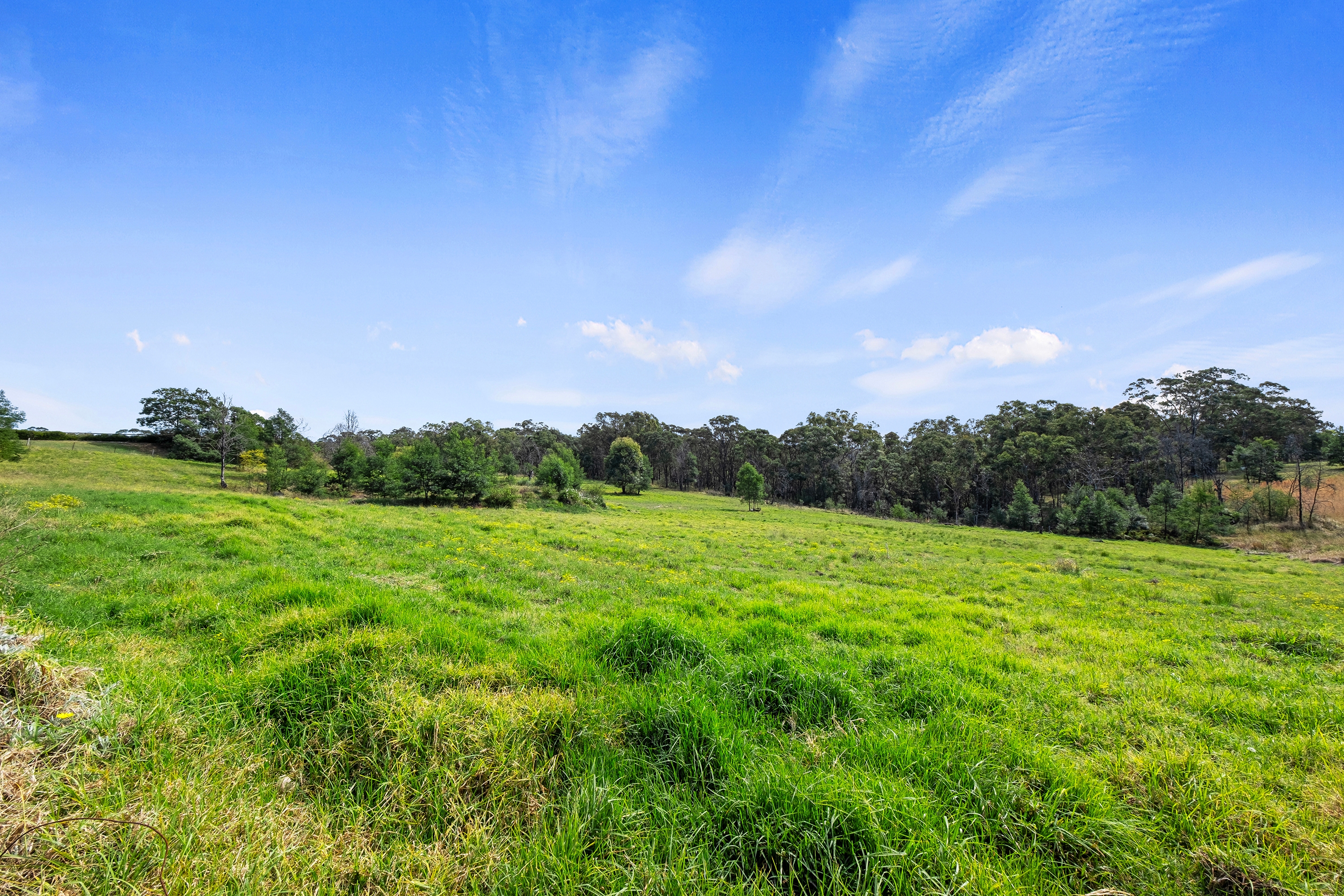 135 BLAXLANDS RIDGE RD, KURRAJONG NSW 2758, 0房, 0浴, Lifestyle Section