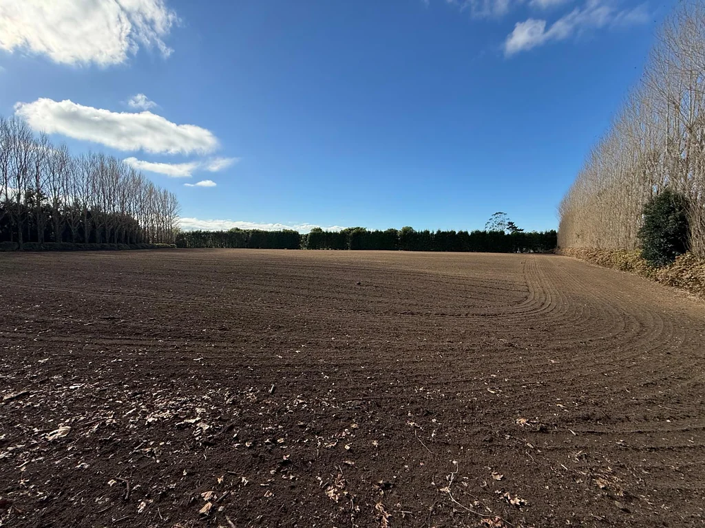 Katikati Prime Kiwifruit Opportunity – Lifestyle Included