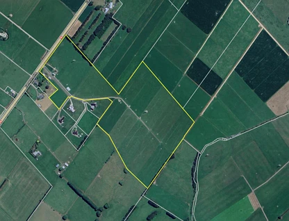 1228 Camerons Line, Feilding, Manawatu, 0 Bedrooms, 0 Bathrooms, Bare Land