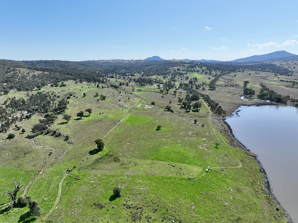 Quirindi "Tevreda North" Quality Grazing Adjacent Quipolly Dam