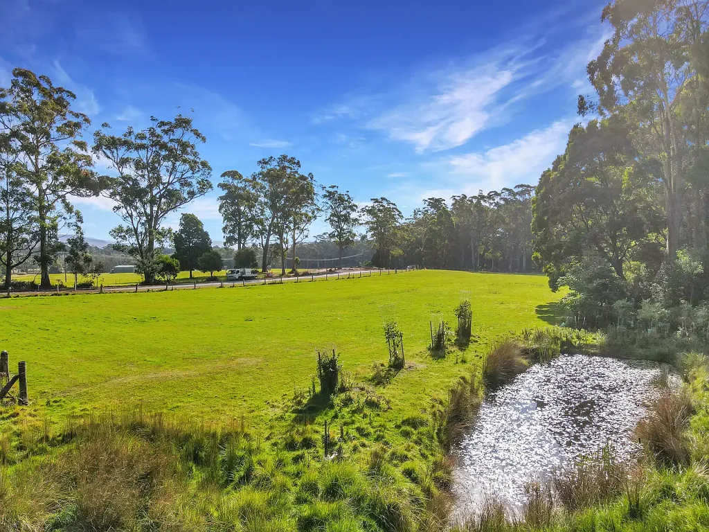605 Elephant Pass Road, Gray, TAS 7215