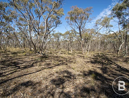 CA 13 SEC Lyle Lead Rd Moonlight Flat, Maryborough, Bendigo, 0 Schlafzimmer, 0 Badezimmer, Lifestyle Property
