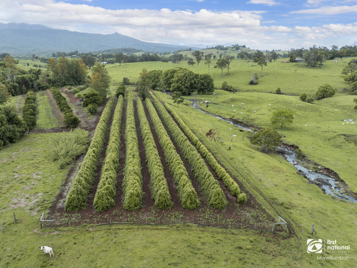 BYRIL FARM 132 BYRRILL CREEK RD, BYRRILL CREEK NSW 2484, 0房, 0浴, House