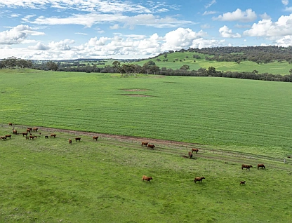 520 Bindoon Moora Rd, Bindoon, Wheat Belt, 0房, 0浴, Section