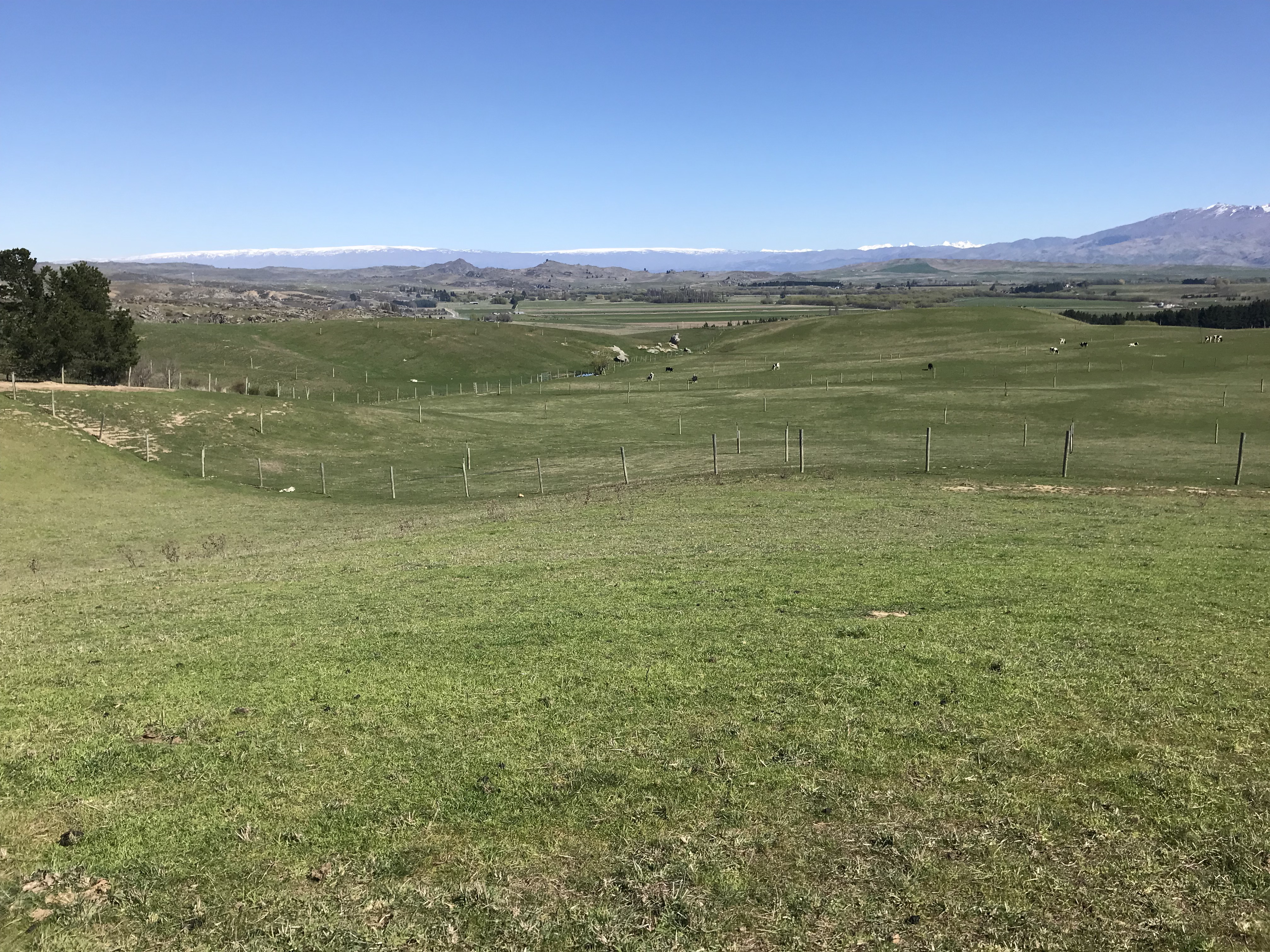 3066 Lauder-Omakau Road, Omakau, Otago, 2 غرف, 1 حمامات, Specialist Livestock