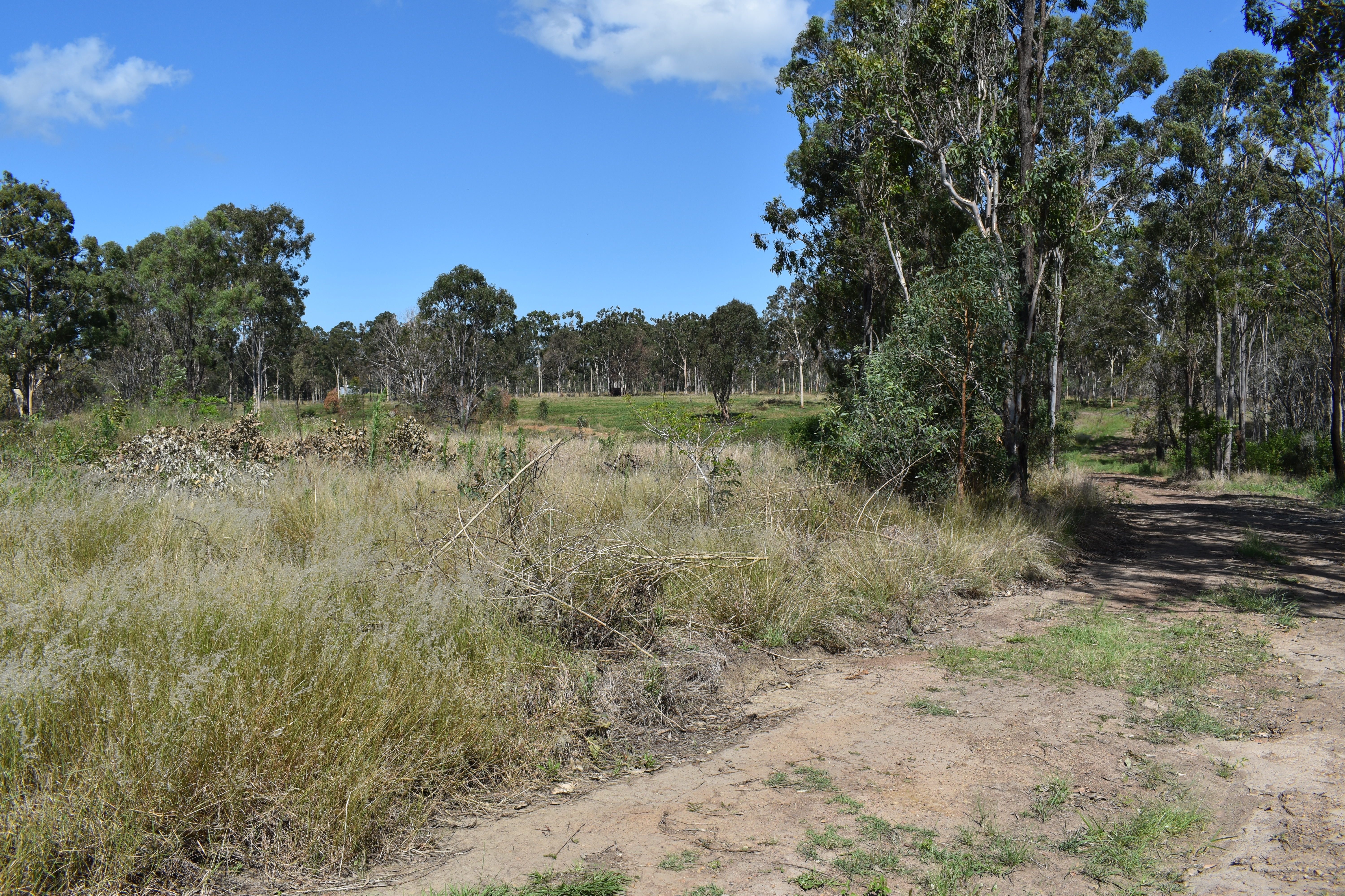 13 MOOLYUNG RD, ROSEDALE QLD 4674, 0 રૂમ, 0 બાથરૂમ, Section