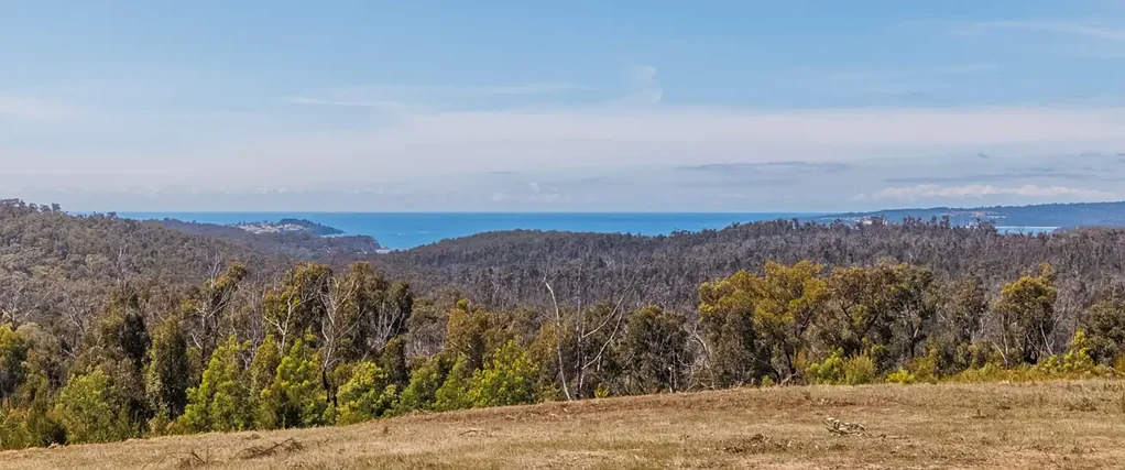 Eden TOAST OF THE COAST