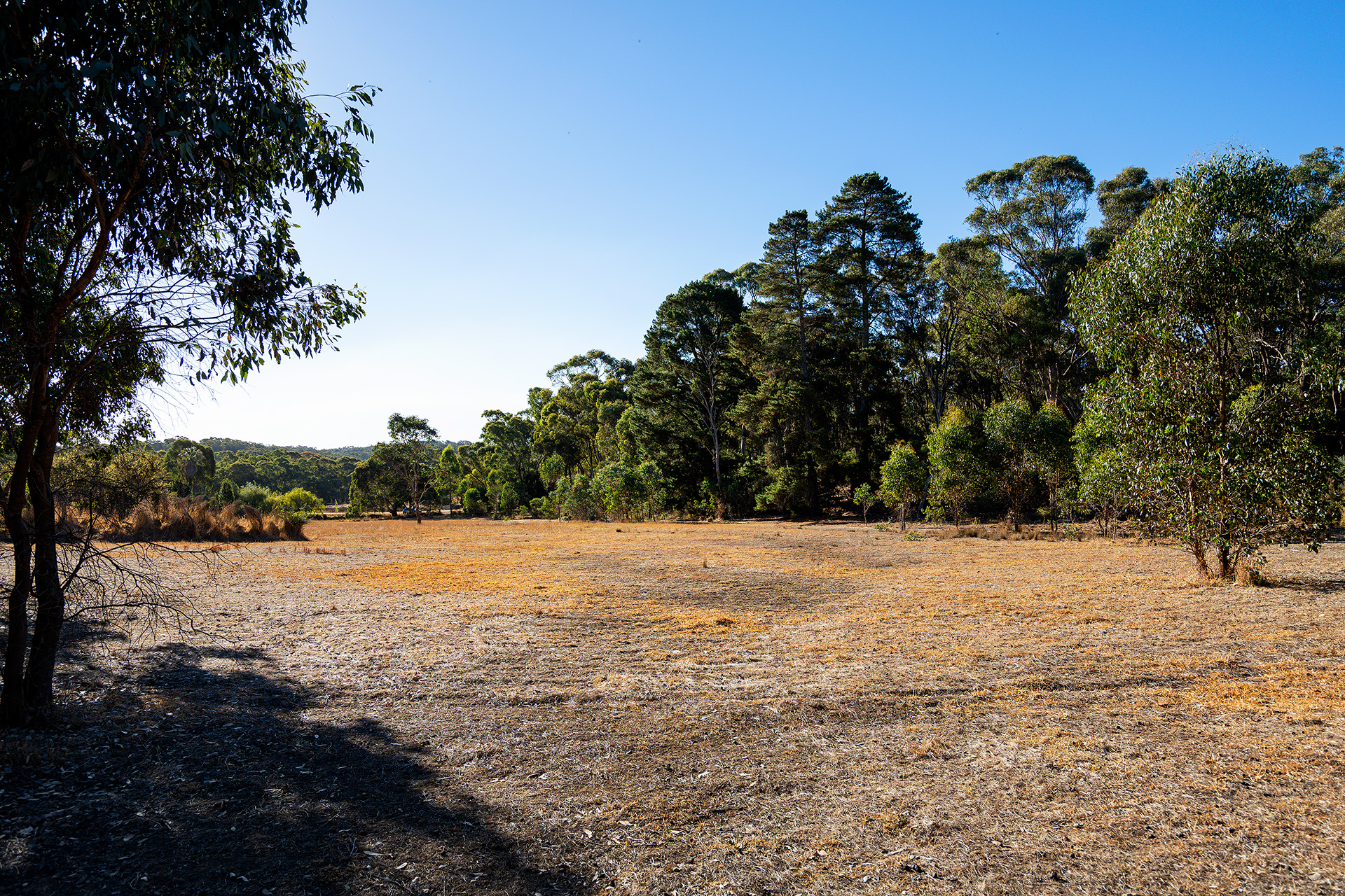 256 BARKER ST, CASTLEMAINE VIC 3450, 0 Bedrooms, 0 Bathrooms, Section