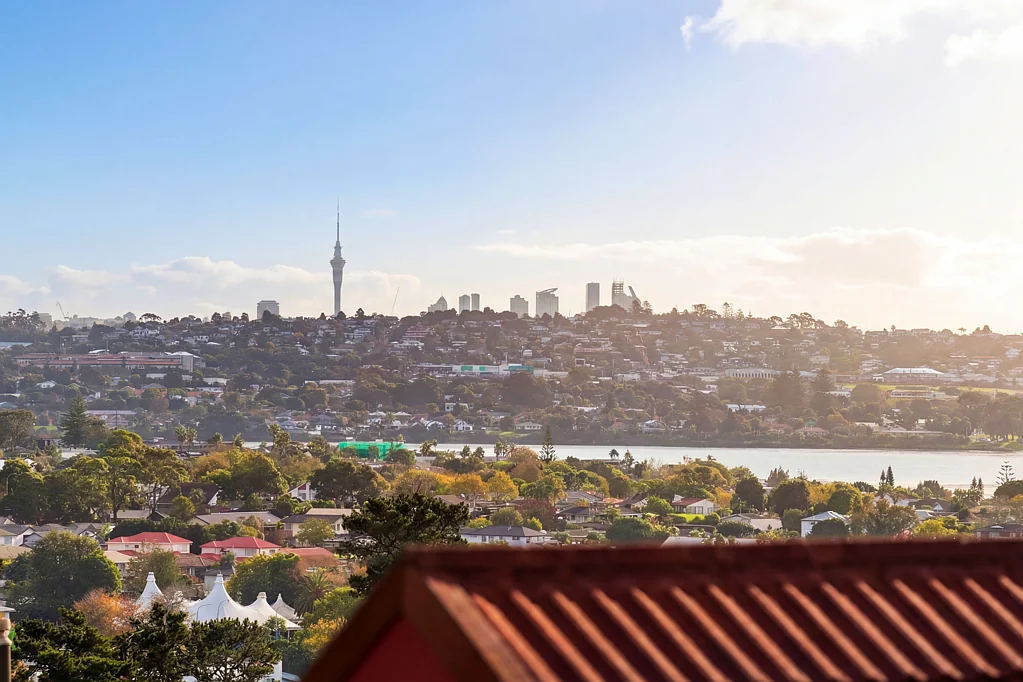 Botany Downs 9房  9-Bed Cash Cow with 2 Legal Kitchens & Views