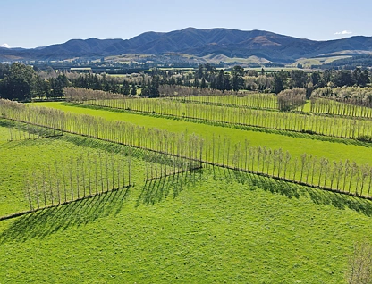 117 Sladdens Farm Road, Oxford, Waimakariri, Canterbury, 0房, 0浴, Unspecified
