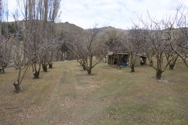 Hall Road, Bannockburn, Otago, 0 Schlafzimmer, 1 Badezimmer