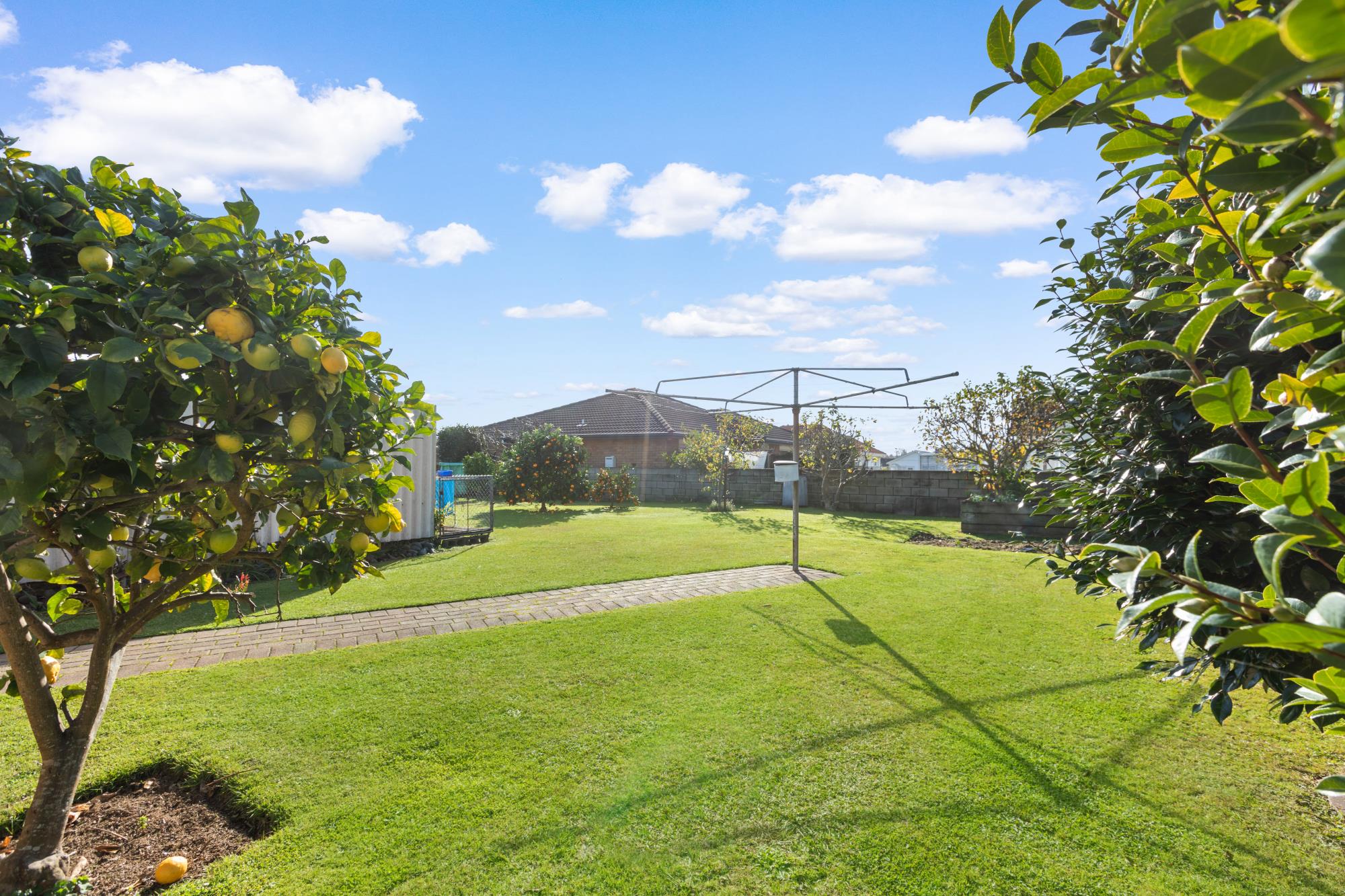 8 Morrice Avenue, Morrinsville, Matamata, 3 chambres, 0 salles de bain, House