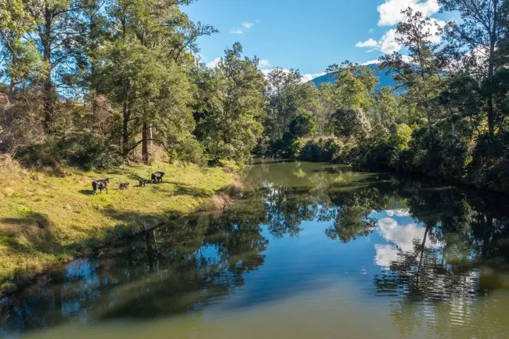 Mount Seaview  CATTLE  ~ LIFESTYLE ~ RIVER ~ ECO TOURISM