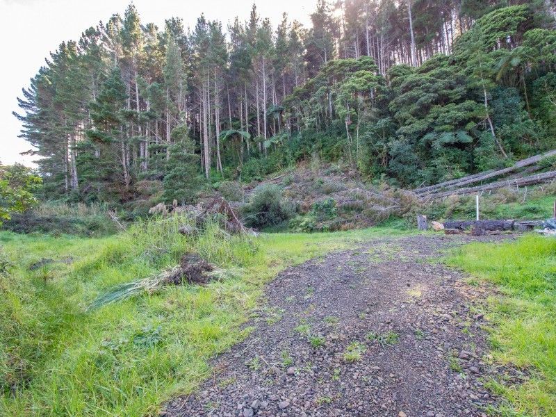 521 Waiotemarama Gorge Road, Waimamaku, Far North, 0 Bedrooms, 1 Bathrooms