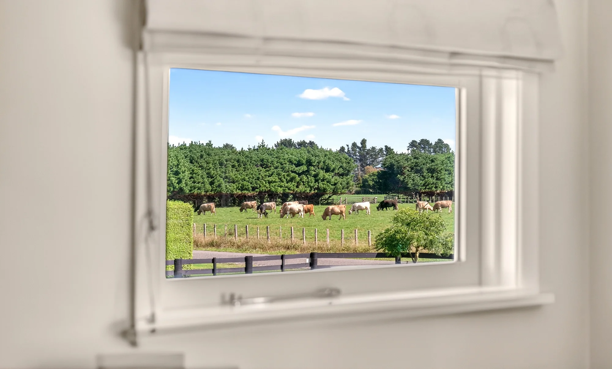 Upper Plain 3房 BEO $650,000-A Little Rural on Edge of Town