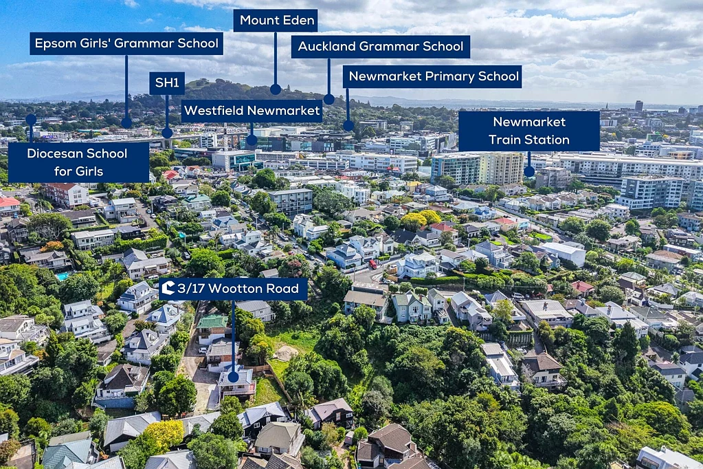 Remuera 3房  DGZ with Massive Parking & Overseas Vendor