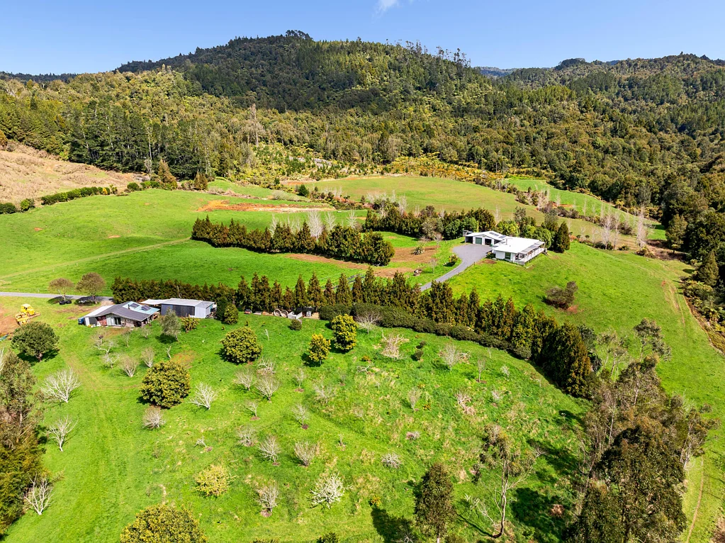 Waihi Lifestyle and sustainability combined