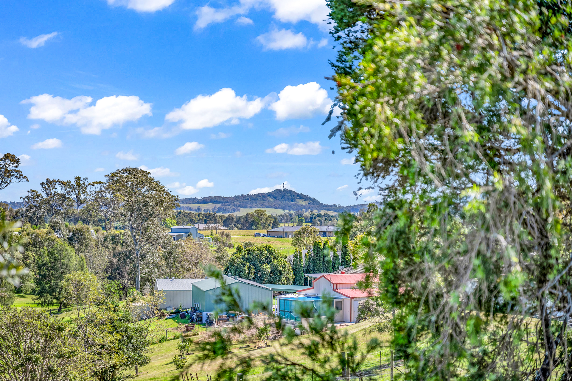 295 ABERGLASSLYN RD, ABERGLASSLYN NSW 2320, 0 habitaciones, 0 baños, House