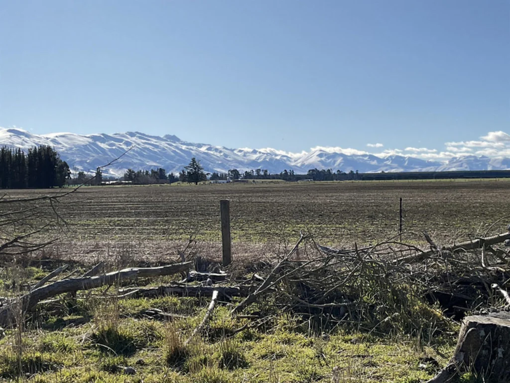 Fairlie  Picture Perfect Postcard Views