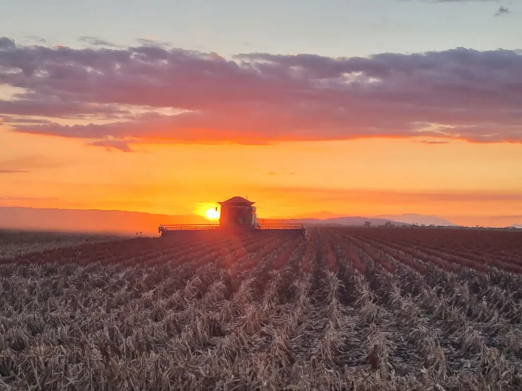 Gumlu Premium Farming Investment in North Queensland