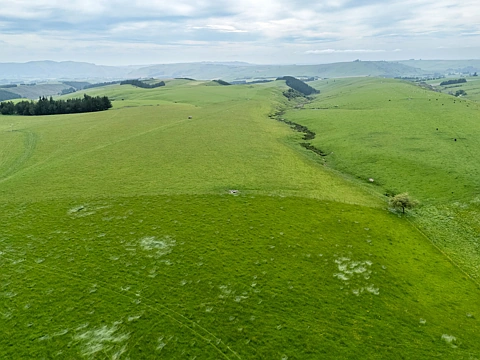 Maungati  Farming and Forestry Options
