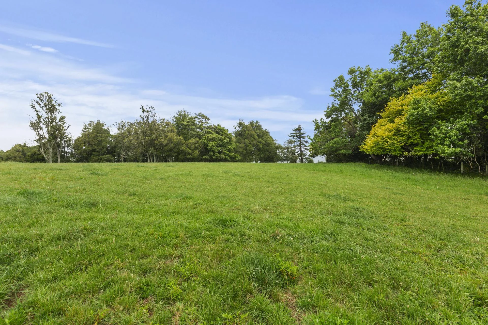201 Checkley Road, Raglan, Waikato, 0 Bedrooms, 0 Bathrooms, Section
