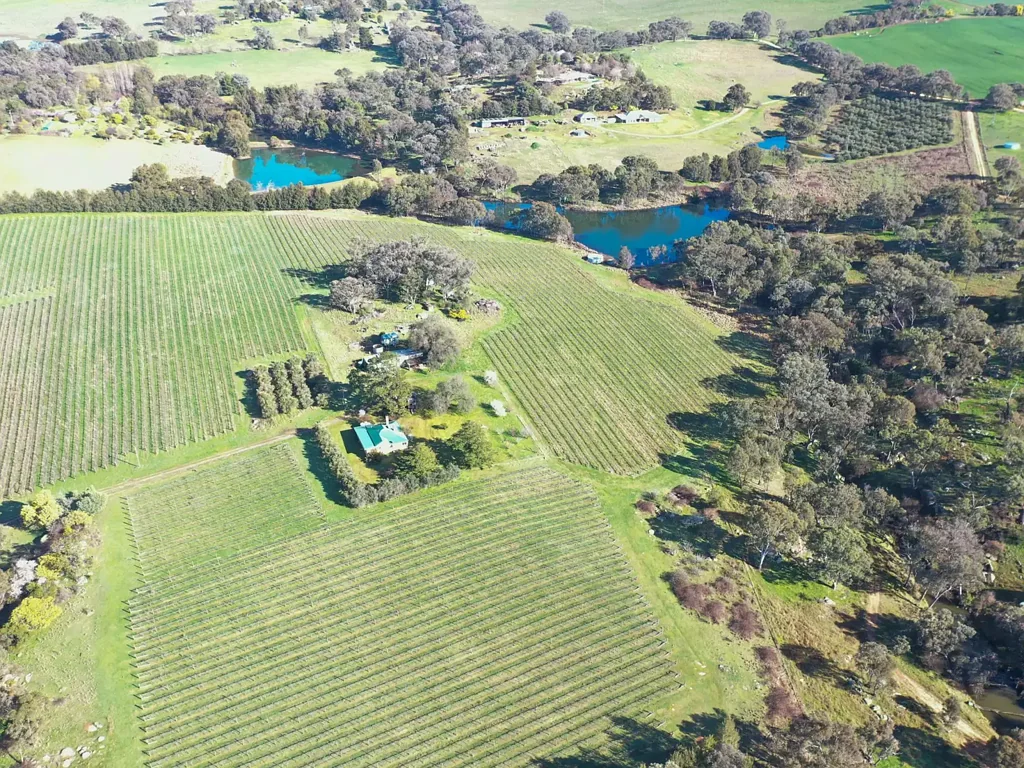 99 Noonans Road, Young, NSW 2594