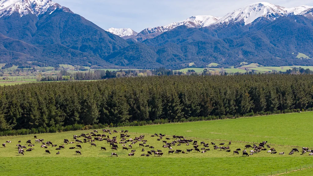 Ashburton Strategically positioned