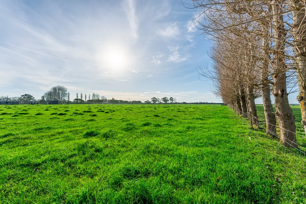 Seadown Lifestyle or Farming - 10 Hectares