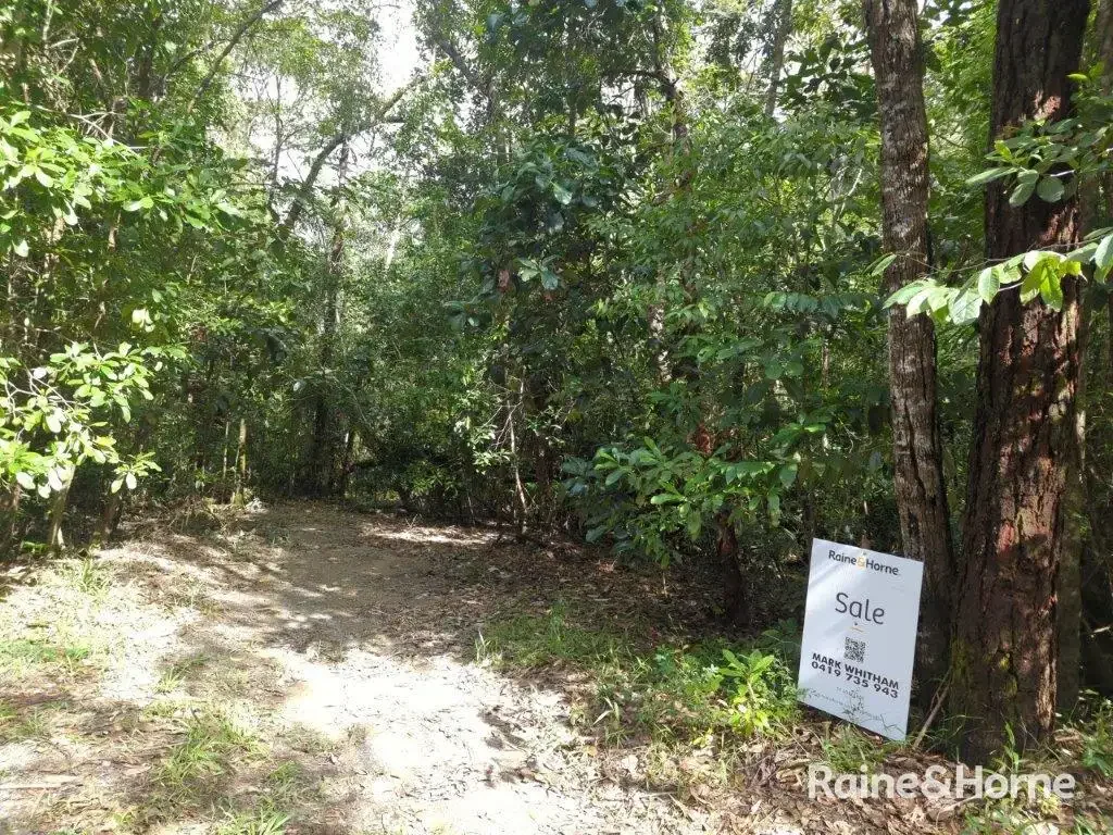 Daintree Vacant land with track to Cow Bay beach.