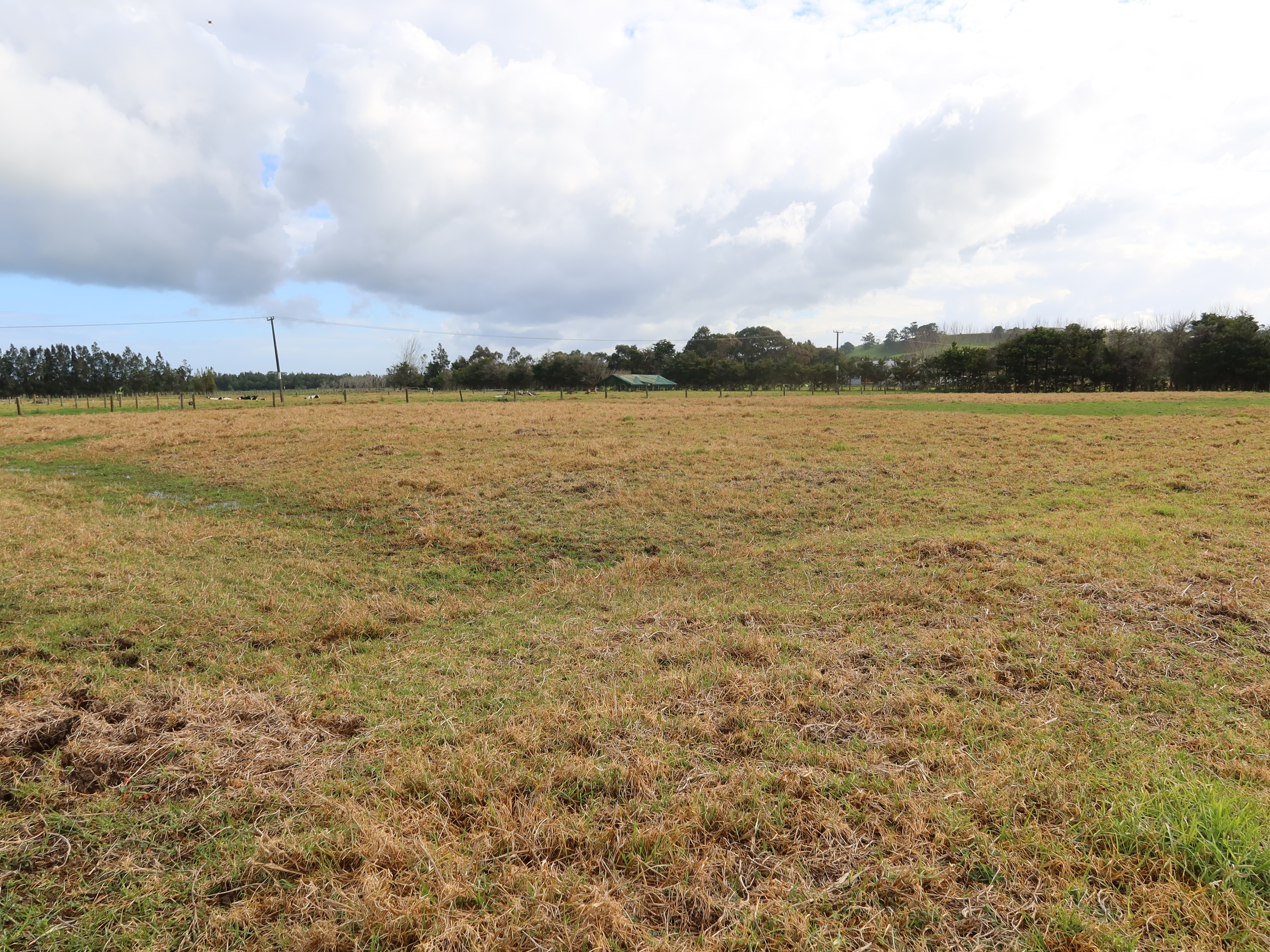 72 Beach Road, Dargaville, Kaipara, 1 phòng ngủ, 0 phòng tắm