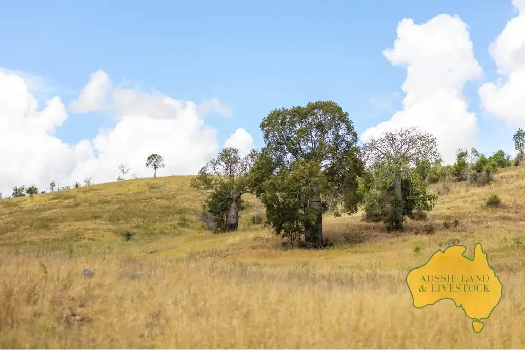 280 HOCHMUTHS ROAD, Cattle Creek, QLD 4626