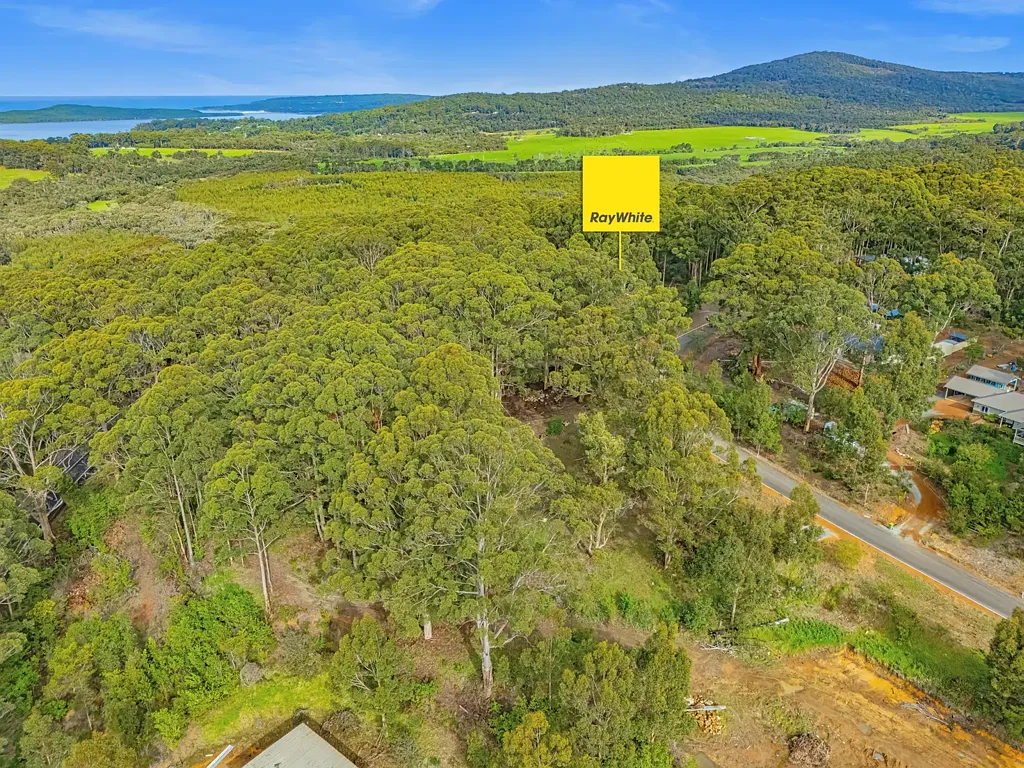 Shadforth  Ultimate Space, Towering Karris & Coastal Proximity