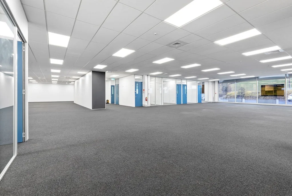 Albany Superb Ground floor Office - 575sqm