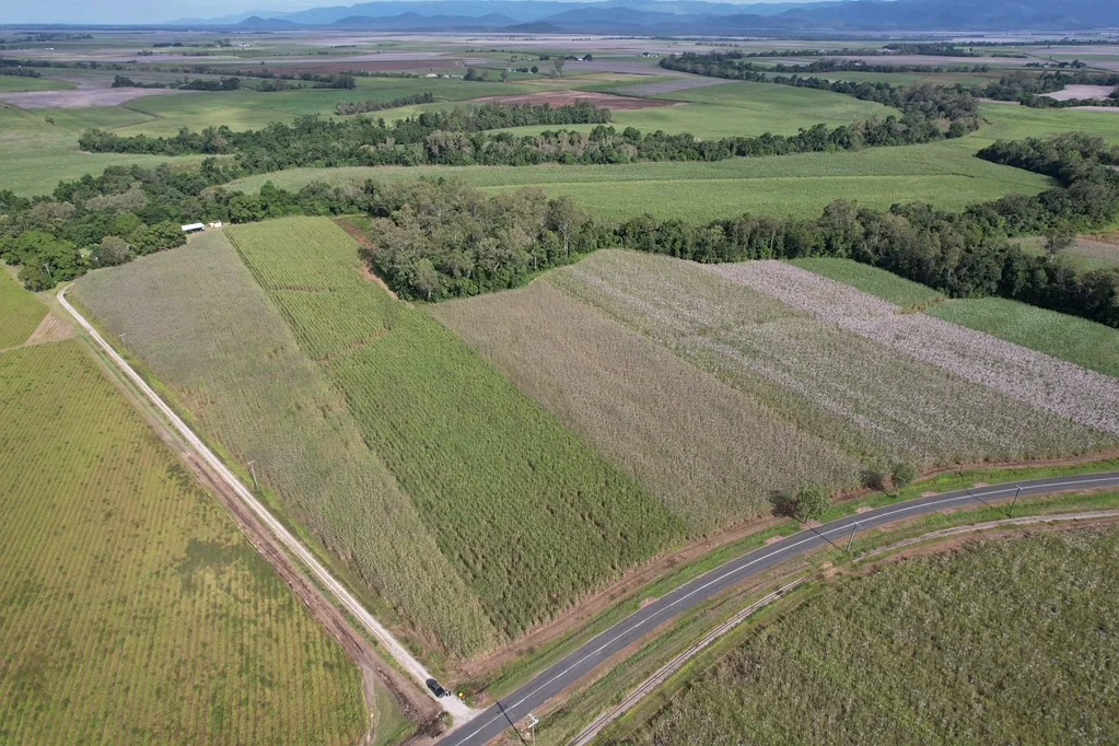 Lannercost Established Cane Farm on 195 Acres - Prime Herbert River Valley Location