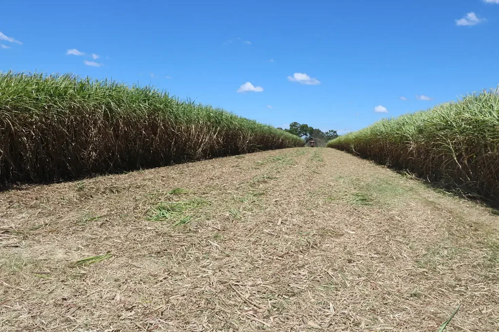 Gregory River 231 ACRES OF CULTIVATION WITH 3 WATER SOURCES