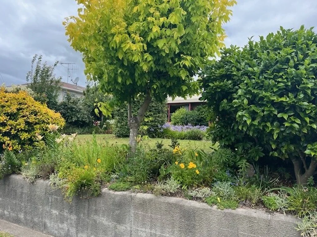 Executive Living in Waihi