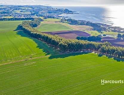 683 Penguin Road, Penguin, TAS 7316, 0 રૂમ, 0 બાથરૂમ, Lifestyle Property