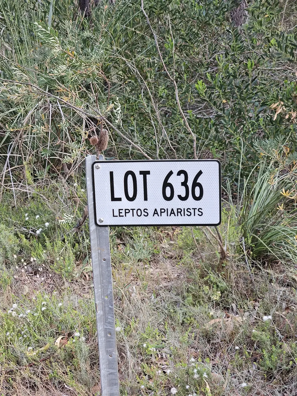 Lot 636 Thomas Road, Avenue Range, SA 5273